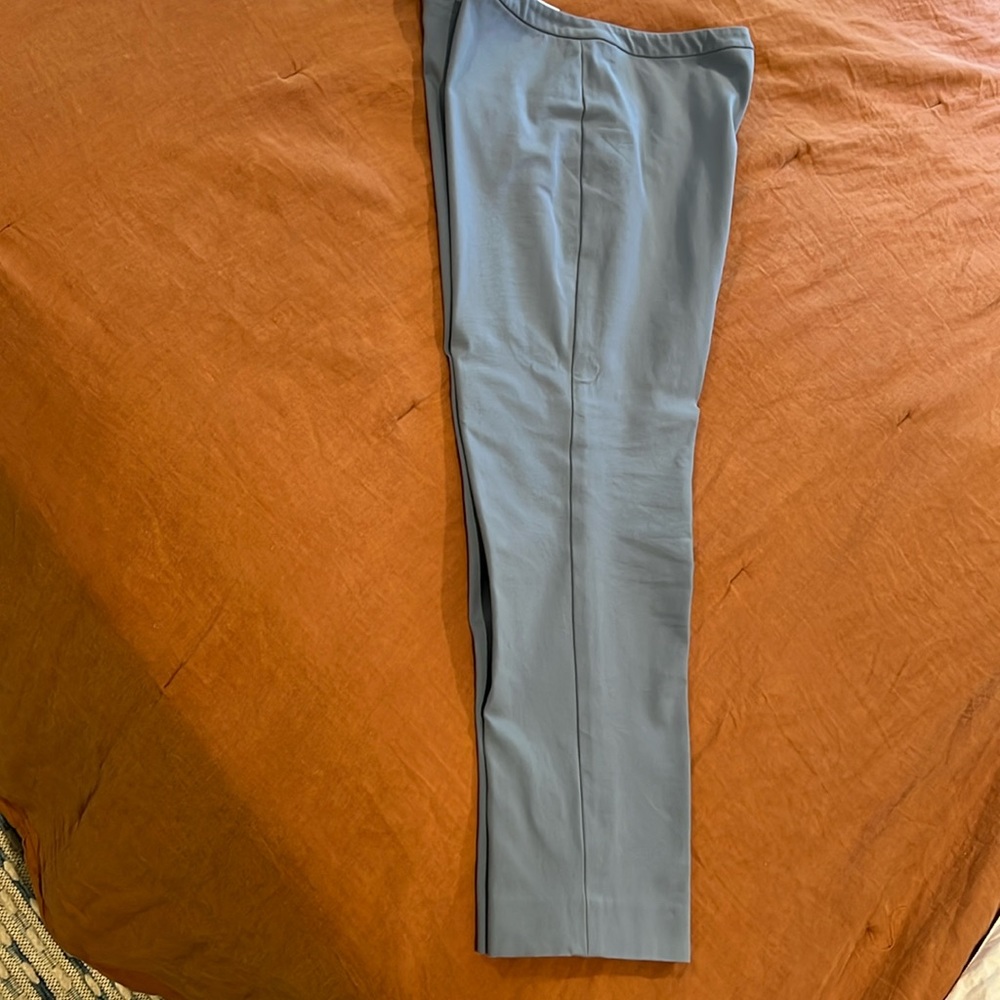 Theory Classic Style Skinny Pant Size 12